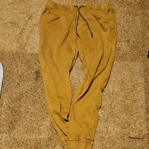 American Eagle Outfitters Men's Tan Joggers